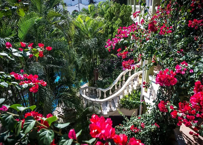 Aventura Mexicana Hotel